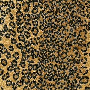 Leopard Leopard
